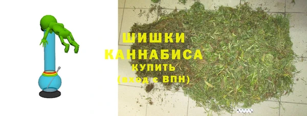 гидра Каменногорск