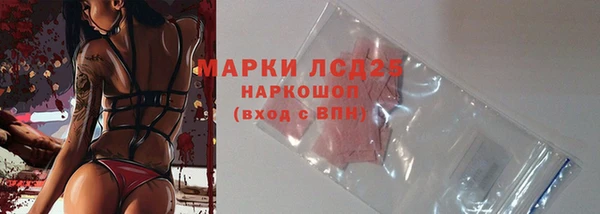 дживик Инта