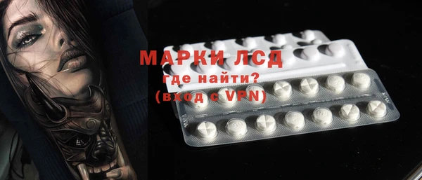 гидра Каменногорск