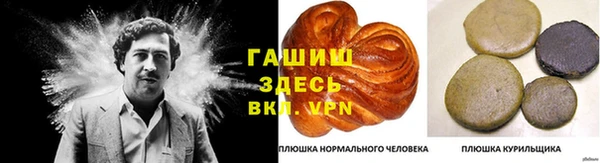 дживик Инта