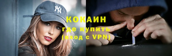 гидра Каменногорск