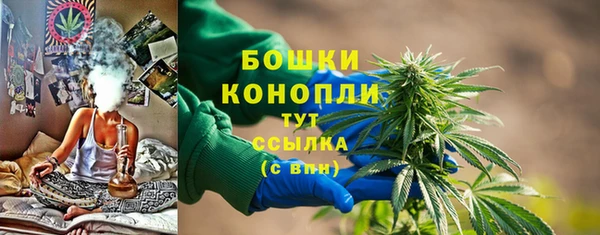 гидра Каменногорск