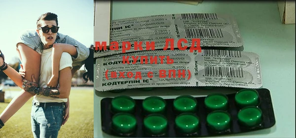 мяу мяу мука Инсар