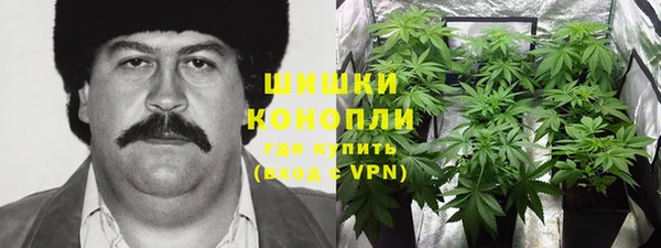 гидра Каменногорск