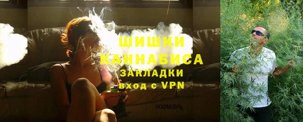 гидра Каменногорск