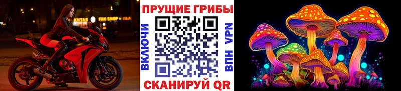 Псилоцибиновые грибы мухоморы  Купить  Шатура 